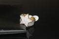 STAR big 2.6ct Lab VVS1 Sim Diamond Ring